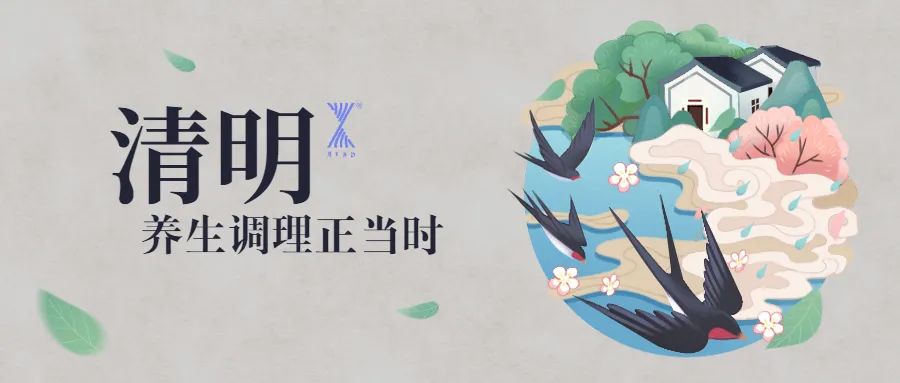清明時節(jié)雨紛紛 疏通經(jīng)絡(luò)馬上給身體加分！